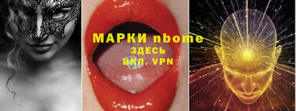 2c-b Горно-Алтайск
