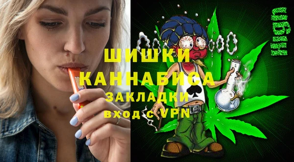2c-b Горно-Алтайск