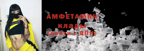 гидра Малоярославец