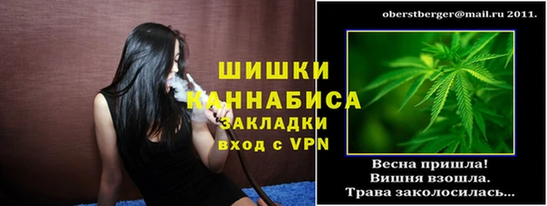 2c-b Горно-Алтайск