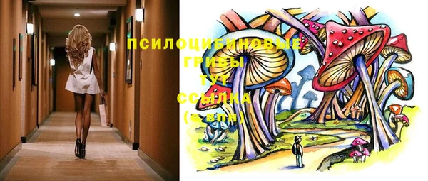 2c-b Горно-Алтайск