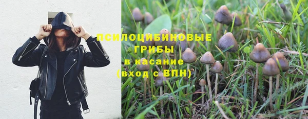 2c-b Горно-Алтайск